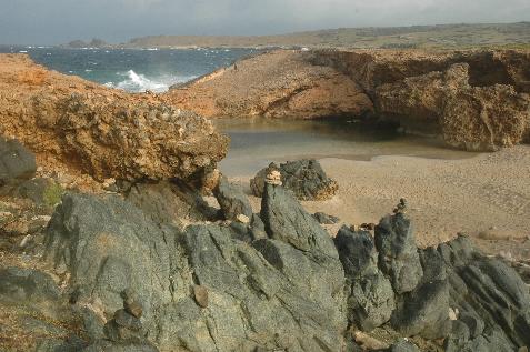 Tidal Pool